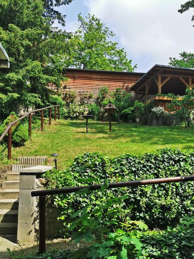 Pension Ginko Wernigerode Εξωτερικό φωτογραφία